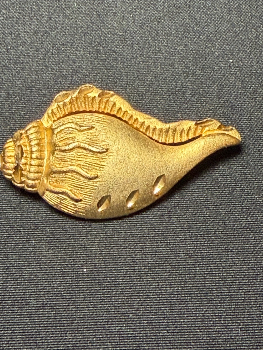 Vintage Signed Torino Gold Tone Conch Shell Brooch